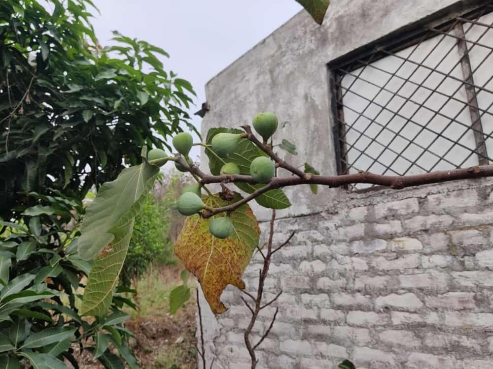 Villa Anjani Farms Nagpur Esterno foto