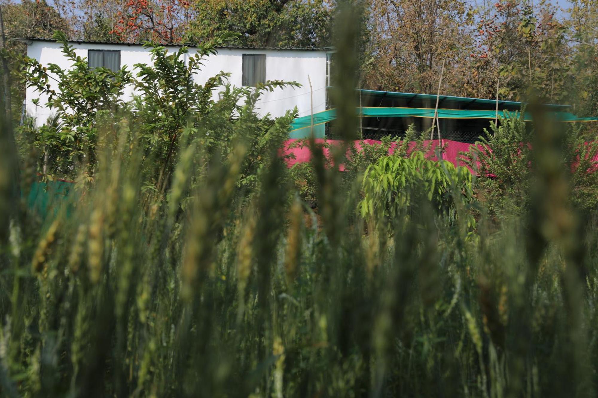 Villa Anjani Farms Nagpur Esterno foto